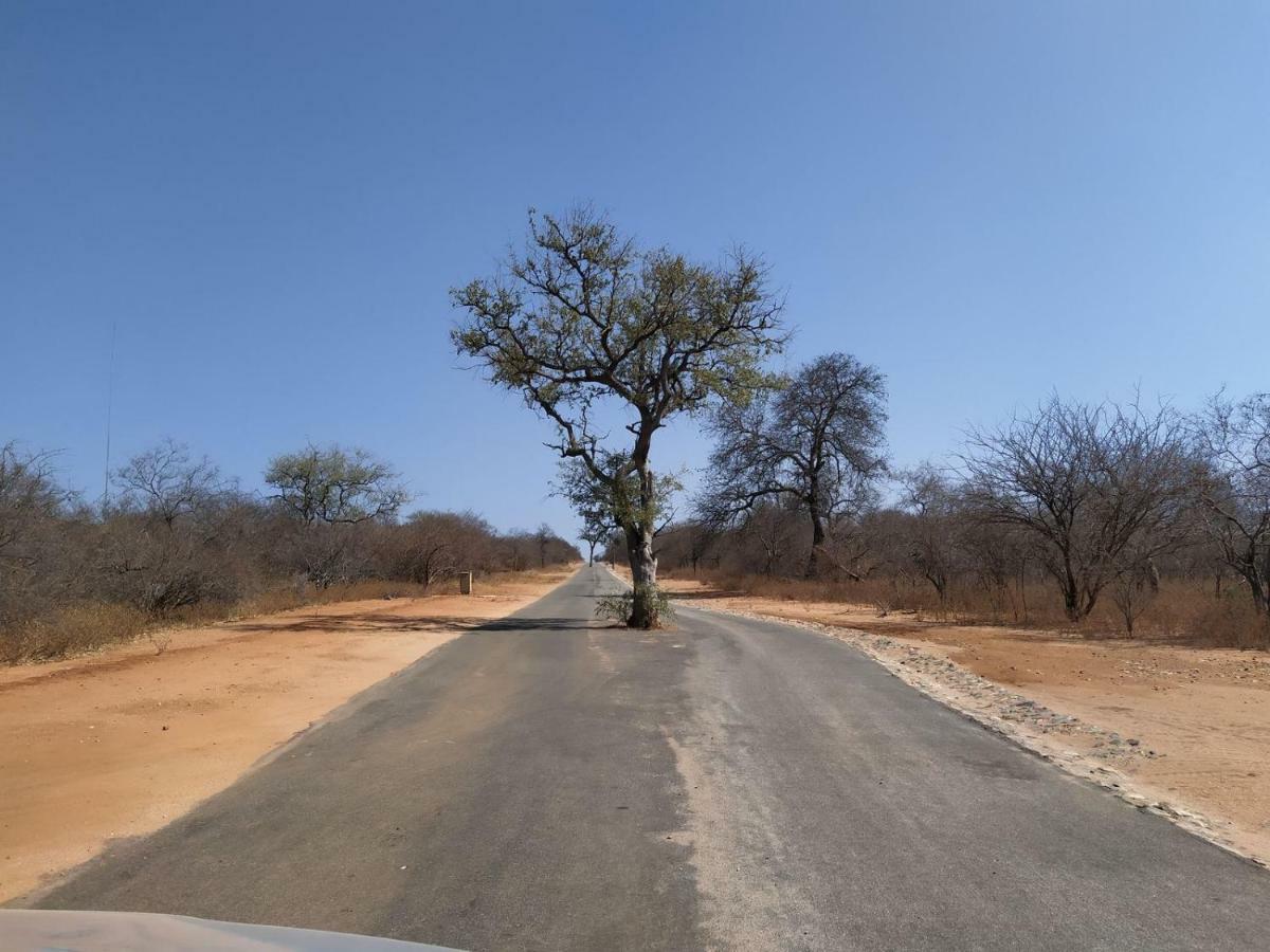 Ukuthula Bush Lodge Hoedspruit Exteriér fotografie